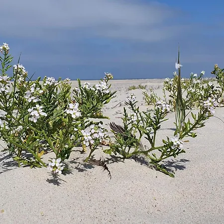 30 Person In Holiday home