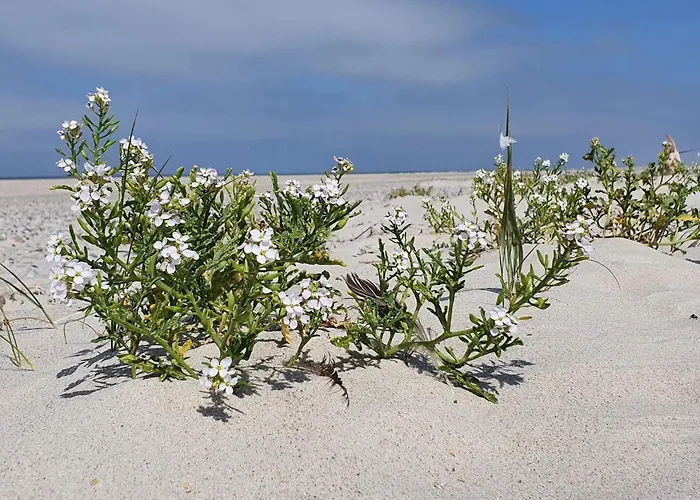 30 Person In Vakantiehuis